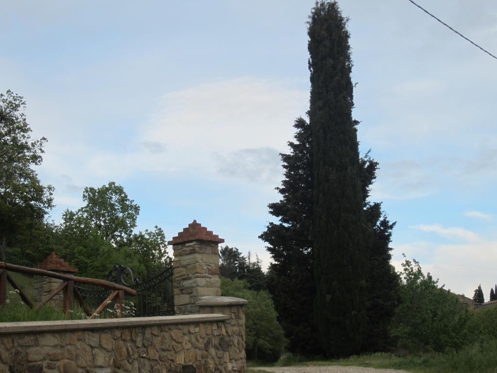 Bed And Breakfast Country Hill Arezzo Exterior photo