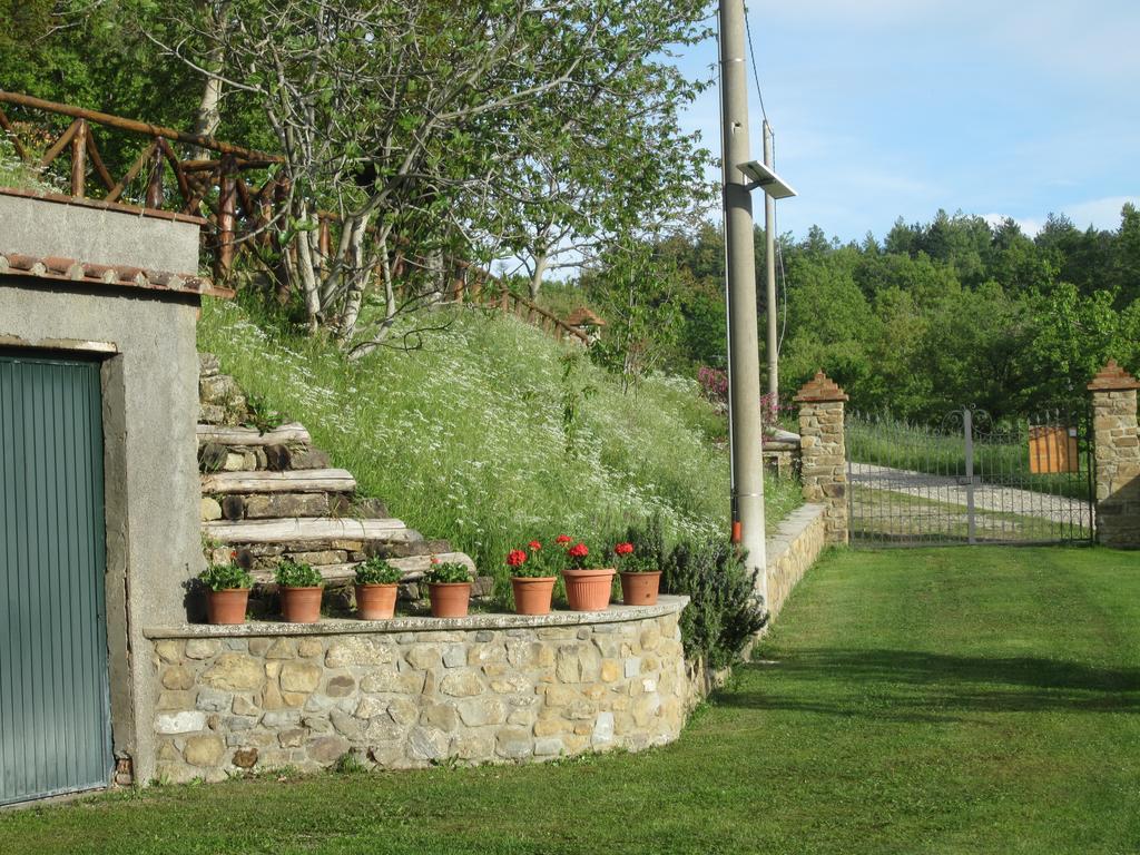 Bed And Breakfast Country Hill Arezzo Exterior photo